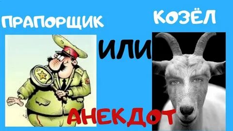 Приколы про козел