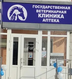 Адрес муниципальной ветеринарной клиники