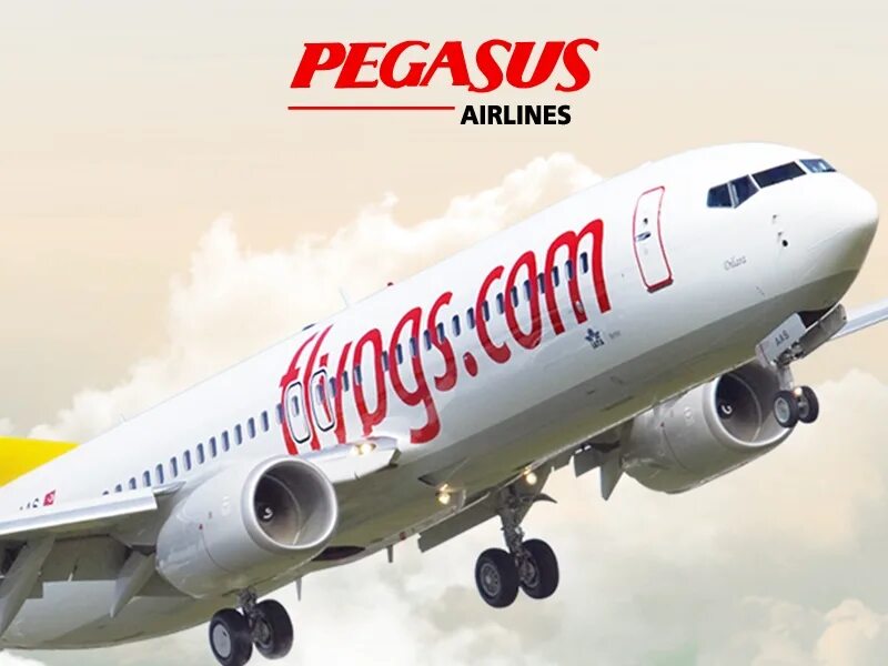 Pegasus авиакомпания сайт. Пегасус Эйрлайнс. Самолет Pegasus. Pegasus Airlines логотип. Реклама Пегасус.