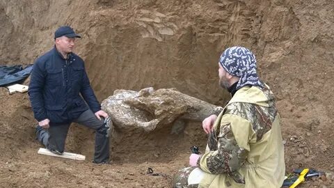 Найдено тысяч лет