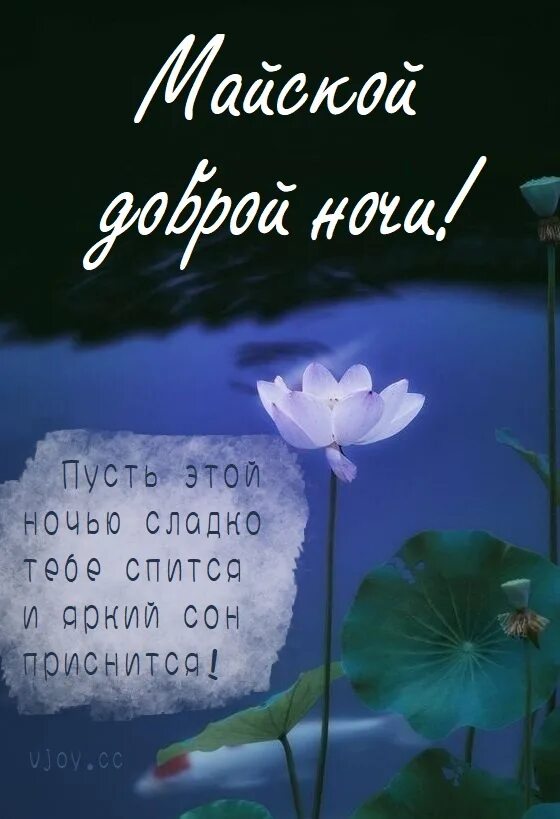 Доброй апрельской ночи. Спокойной ночи Апрельская ночь. Открытки спокойной ночи. Спокойной ночи пусть тебе приснится прикол. Спокойной апрельской ночи картинки красивые