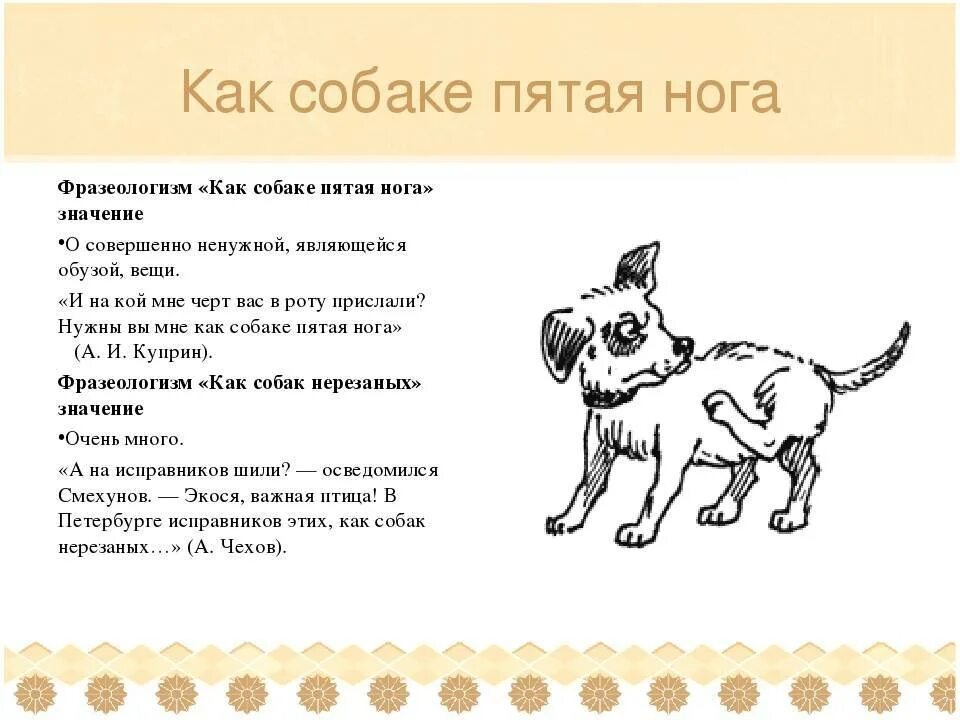 Фиприст для собак до 20кг. Слова связанные с собаками. Фразеологизмы со словом собака. Фразеологизмы про собаку. Слова связанные с собаками.