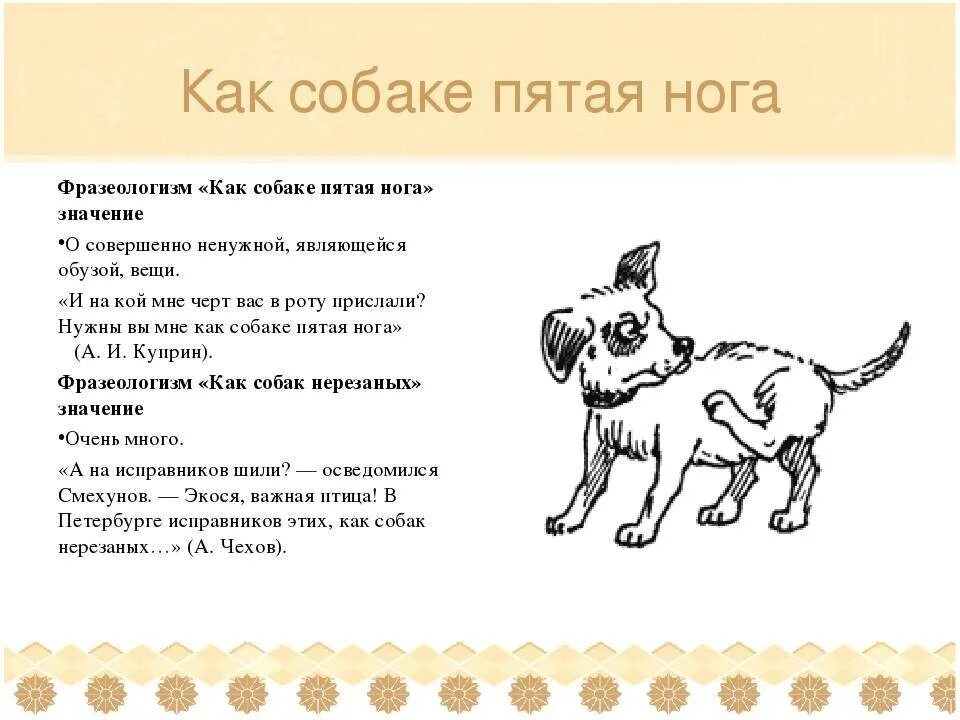 Фразеологизмы про собаку. Фразеологизмы особаказ. Вразиологизмыо собаке. Фразеологизмы со словом собака.