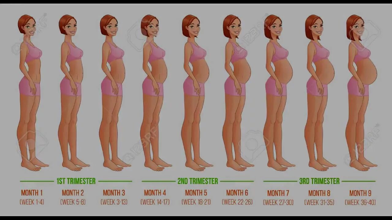 На какой неделе беременности растет живот. Живот у беременных по месяцам. На какой неделе начинает расти живот. На каком сроке начинает расти живот. Как начинает расти живот у беременных.