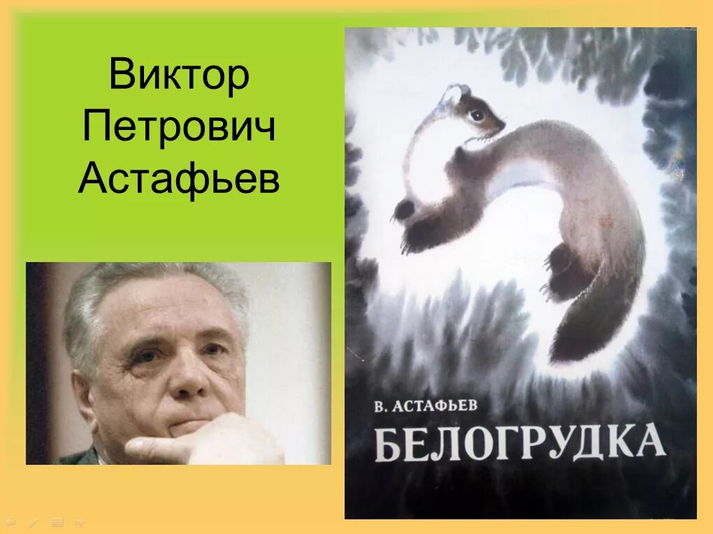 Белогрудка читательский дневник. В П Астафьев Белогрудка. Белогрудка Астафьев иллюстрации.