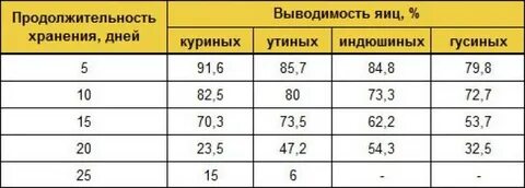 Срок годности гусиных яиц