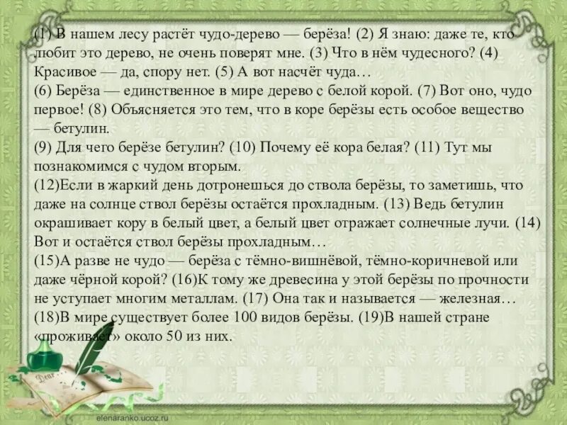 Какое русское милое дерево береза диктант. В нашем лесу растет чудо дерево береза. В нашем лесу растёт чудо-дерево — берёза! Тип речи.