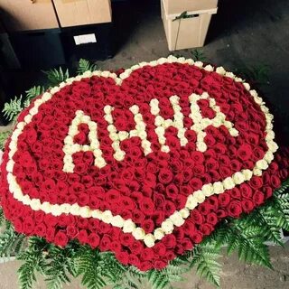 Анюта розы