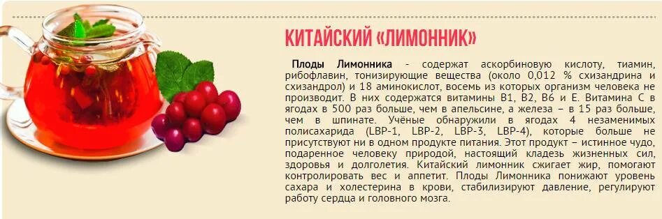 Настойка лимонника китайского применение. Лимонник дальневосточный настойка. лимонник китайский настойка для давления. лимонник для повышения давления. лимонник повышает или понижает давление.