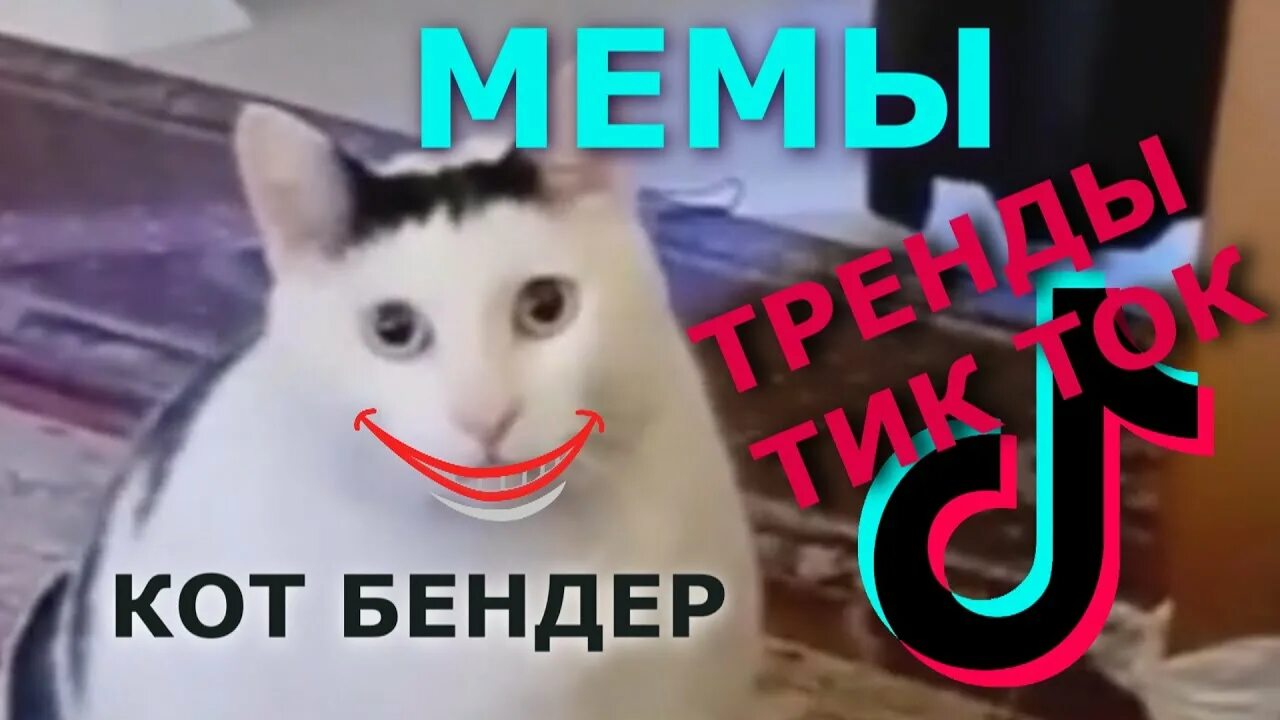 Мем с котом бендером Кот Бендер и "Мы не одинаковые". Главные мемы 2021 года Арт на 2x2 2021