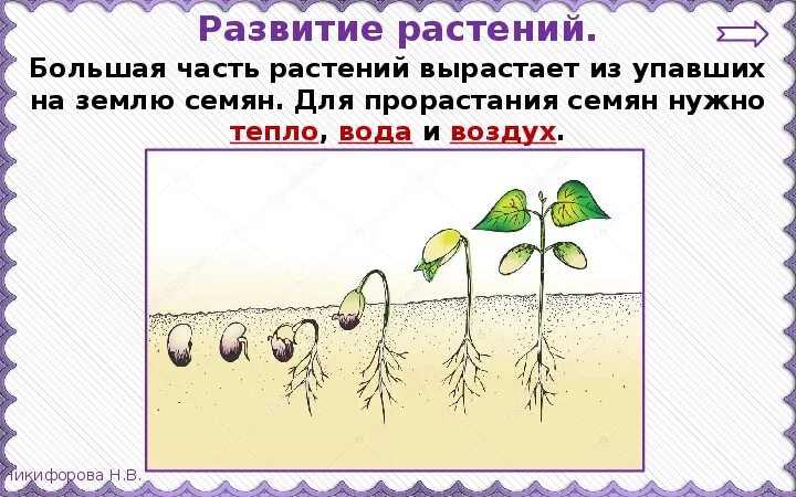 Окружающий мир 3 размножение и развитие растений. Размножение и развитие растений. развитие растений презентация. развитие растения из семени. размножение и развитие р.