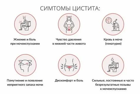 Боль при мочеиспускании после акта