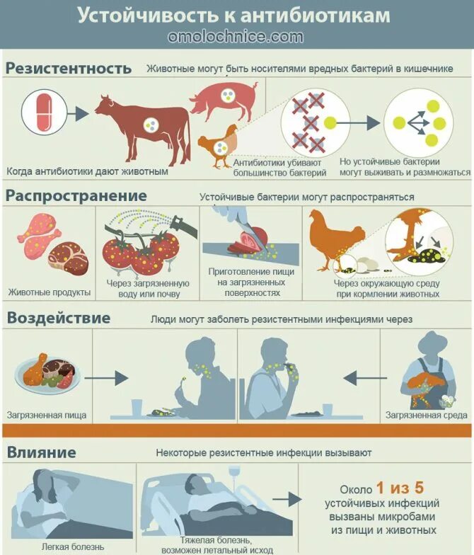 Широкое распространение болезни животных