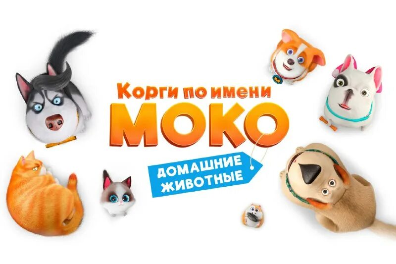 Корги по имени моко домашние животные 2019. Корги по имени моко домашние животные 2019. Что такое пес по имени моко. Корги по имени моко новый питомец картинки ямми. Корги по имени моко домашние животные 2019.