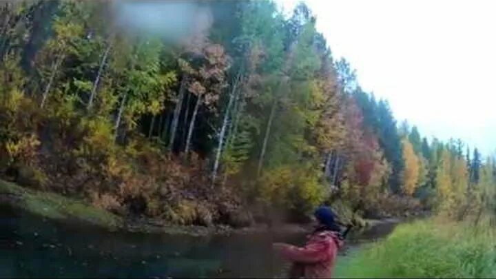 Охота пенсионера в сибири видео и рыбалка. Ведущий охота и рыбалка. Охота и рыбалка в сибири. Охота и рыбалка пенсионера в сибири. Охота и рыбалка в сибири.