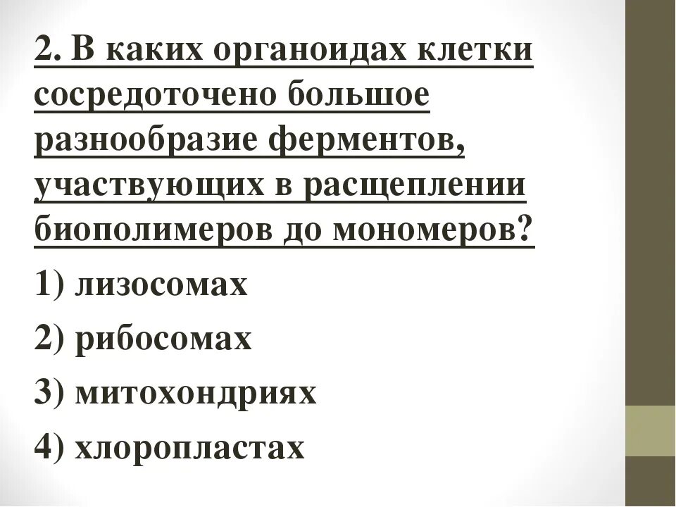 Расщепляет биополимеры до мономеров. В каких органоидах клетки полимеры расщепляются до мономеров?. Органоид в котором биополимеры расщепляются на мономеры это. Полимеры расщепляются до мономеров в каком органоиде. 1) Расщепляет биополимеры на мономеры.