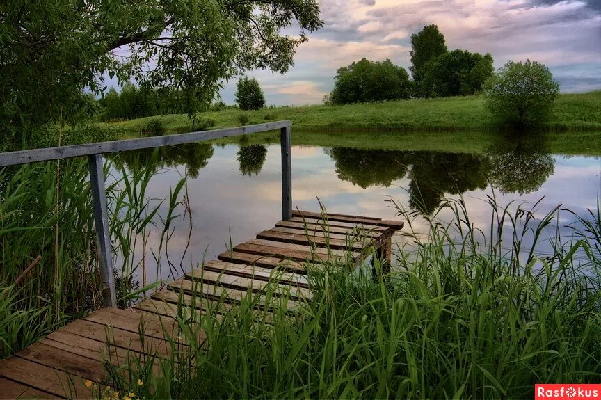 Д мосток. Мосточки деревянные через речушку. Едимоново мостки. Мостки (луганская область). Березовский мостик на нижнем пруду.