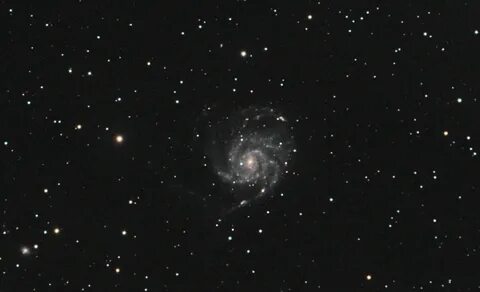 N m 101 n