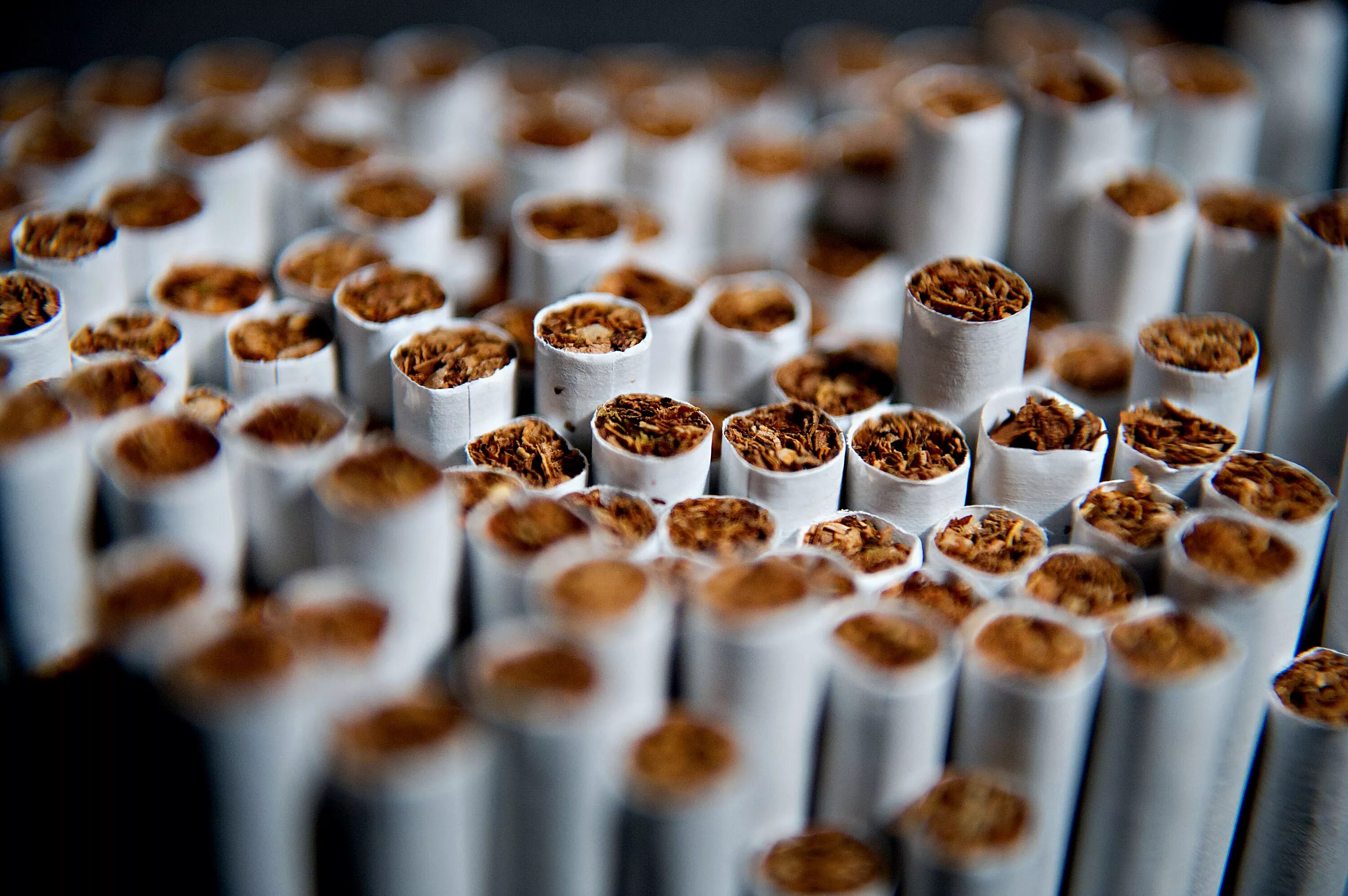 Табачная промышленность. Производство сигарет. Сигареты производители.