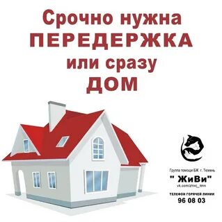 Передержка отзывы