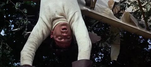 Flew down