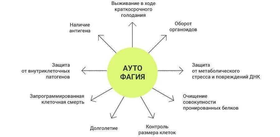 Держать в голоде