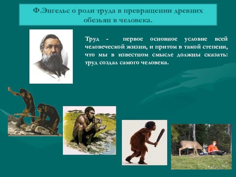 Возникновение человеческого труда. Труд создал из обезьяны человека. труд сделал человека человеком. происхождение человека. роль труда в эволюции человека.