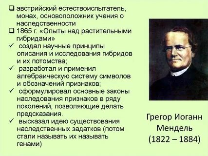 Мендель как читается