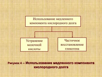 Величина кислородного долга
