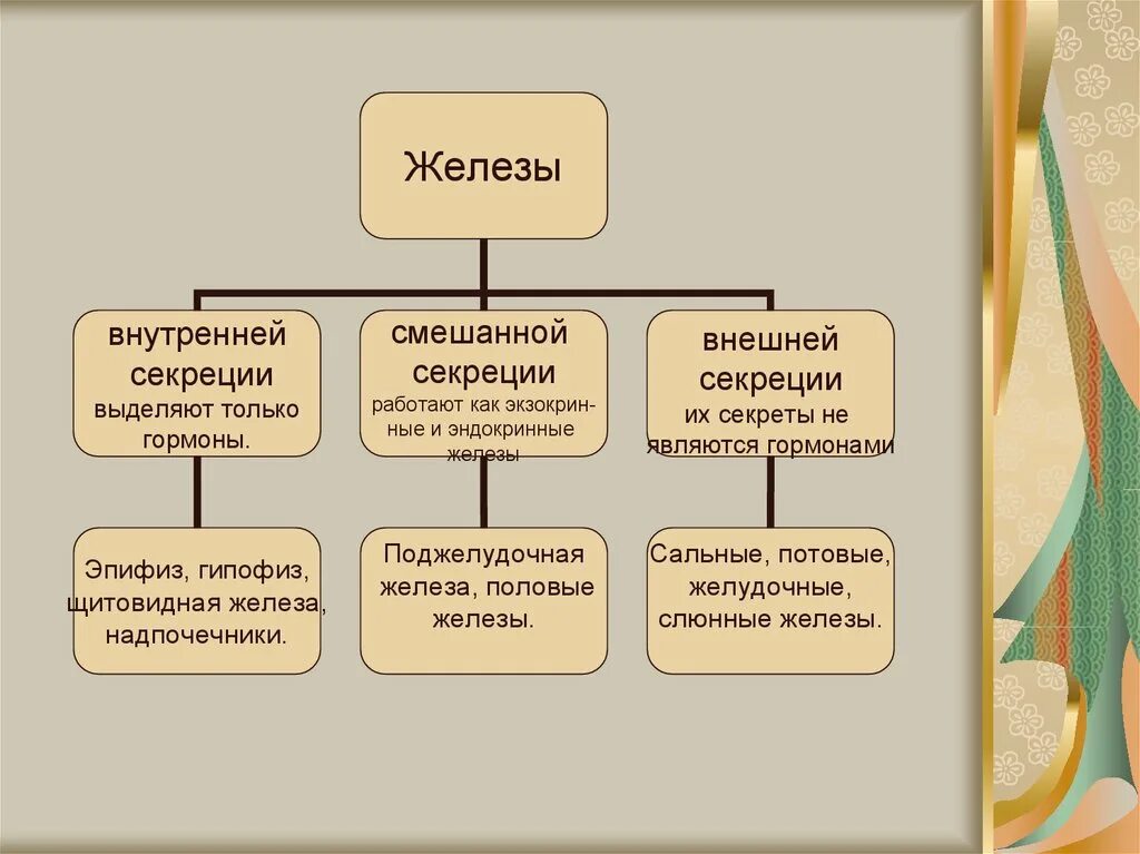 Функции желез внешней секреции таблица 8 класс. Железы внутренней внешней и смешанной секреции таблица. Железы внутренней секреции и внешней секреции и смешанной секреции. Функции внешней секреции. Железы внешней секреции биология 8 класс