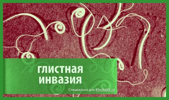 Инвазии глистные инвазии. Средства, которые назначают при инвазиях круглыми глистами. Без признаков инвазии