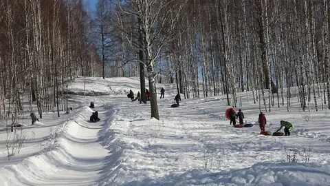 Долгий лог