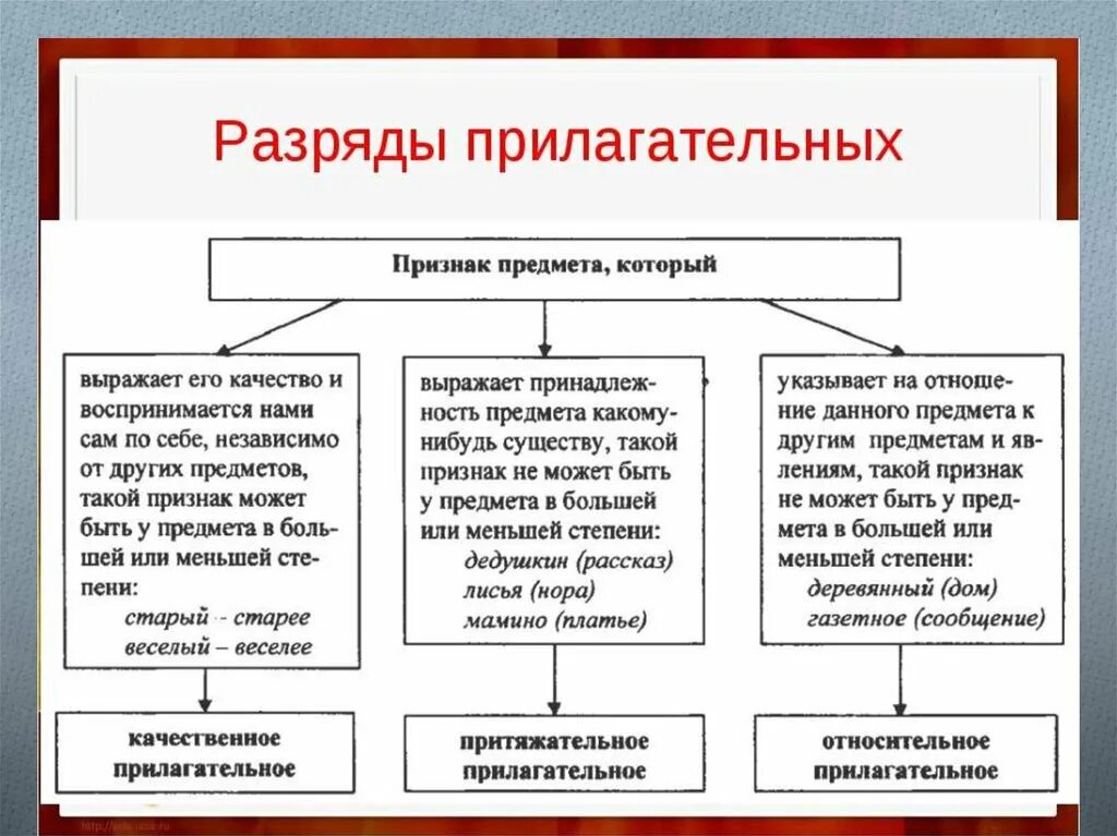 Схема про имя прилагательное разряды. Как определить разряд прилагательного 6 класс. Имя прилагательное 6 класс разряды. Разряды имен прилагательных 3 класс русский язык-. Разряд по значению качественное относительное притяжательное