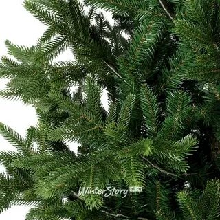 Литая или пвх