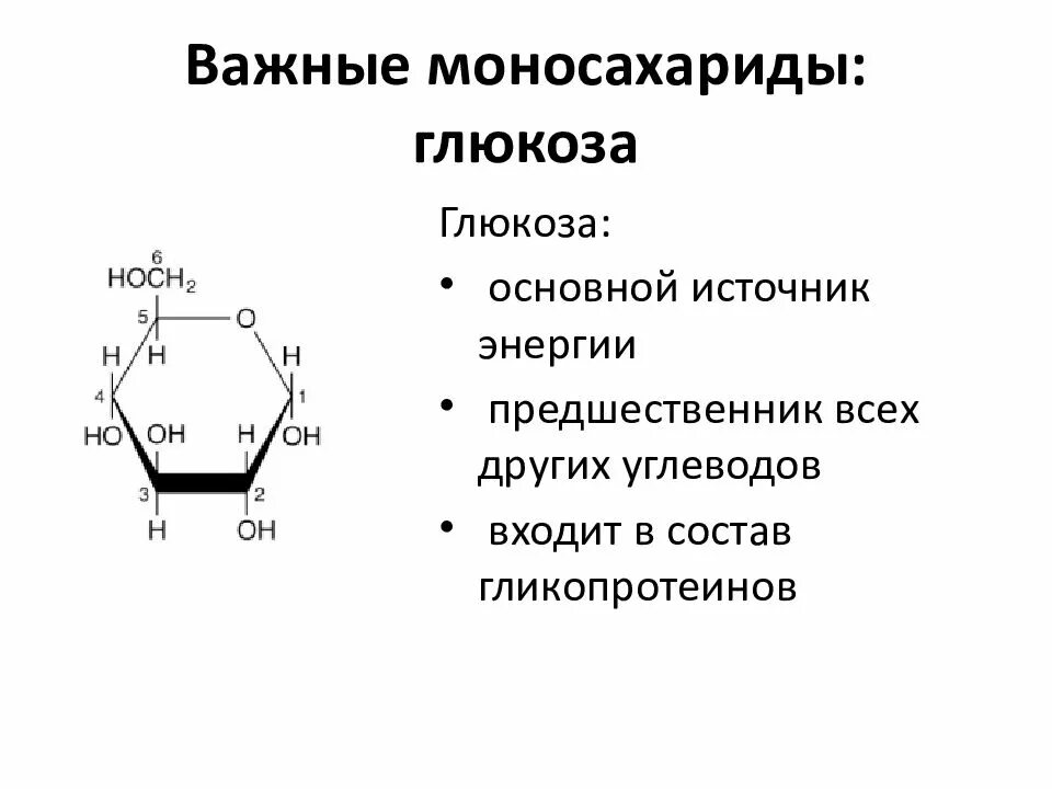 Молекула моносахаридов состоит из. Приведите формулы важнейших моносахаридов.. формулы основных моносахаридов. основные моносахариды формулы. глюкоза моносахарид.