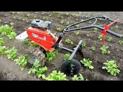 Окучивание мотоблоком