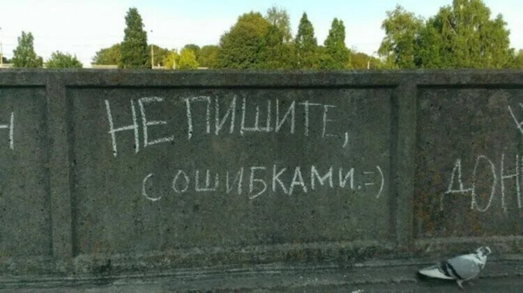 На заборе написано. На заборе тоже написано. На заборе тоже написано дрова. Поговорка на заборе тоже написано. На заборе написано а там дрова