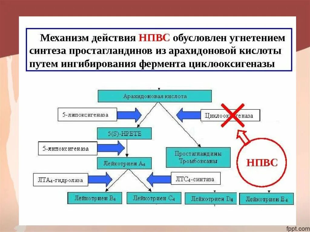Нпвс цог 1 и цог 2. Механизм действия нпвп. Простагландины е механизм действия. Простагландины воспаление. Арахидоновая кислота нпвс.