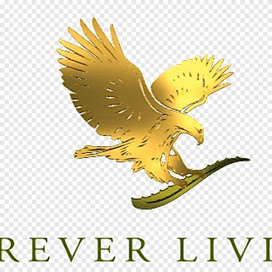 Логотип Forever Living. Forever Living products logo. Living products