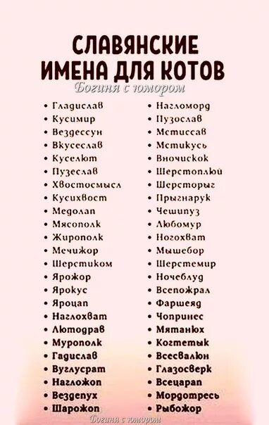 Большие имена. Имена много имён. Имена людей. Славянские клички для котов.