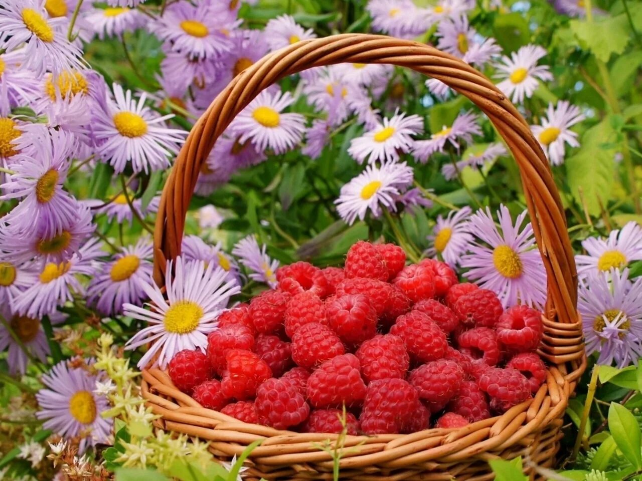 Корзина с ягодами. Цветы и ягоды. Летние ягоды. Летние цветы.