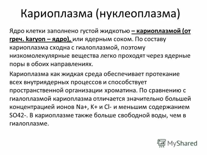Кариоплазма состоит из. Кариоплазма. Кариоплазма состоит из. Кариоплазма состоит из. Кариоплазма состоит из.