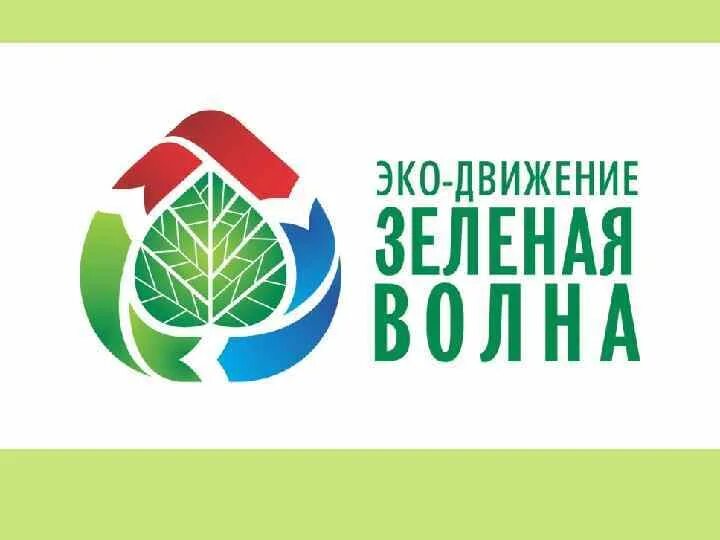 Движение эко. Движение зелёная волна. экологическое движение. экологические движения в россии. лидер экологического движения.