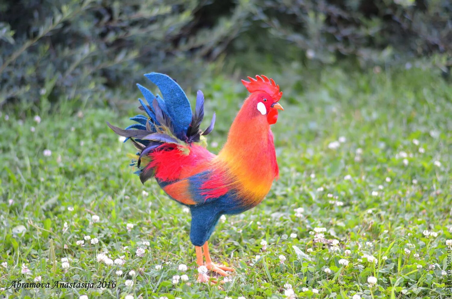 Трехцветный петух. Домашний петух. Фото голодных зверей на одного петуха. Банкивские джунглевые куры. Пекинская бентамка.