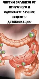 Дырявый кишечник что это