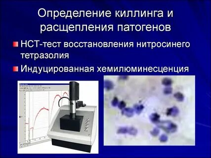 Нст тест