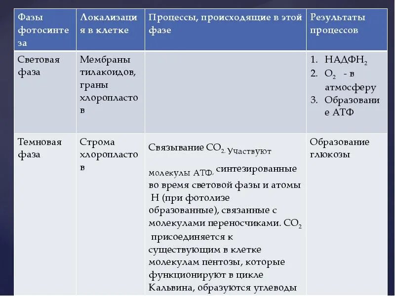 Таблица фотосинтез 9 класс биология. Световая процессы происходящие в этой фазе. Процессы происходящие в эти фазы. Световая фаза процессы происходящие в этой фазе Результаты процессов. В результате световой фазы образуются