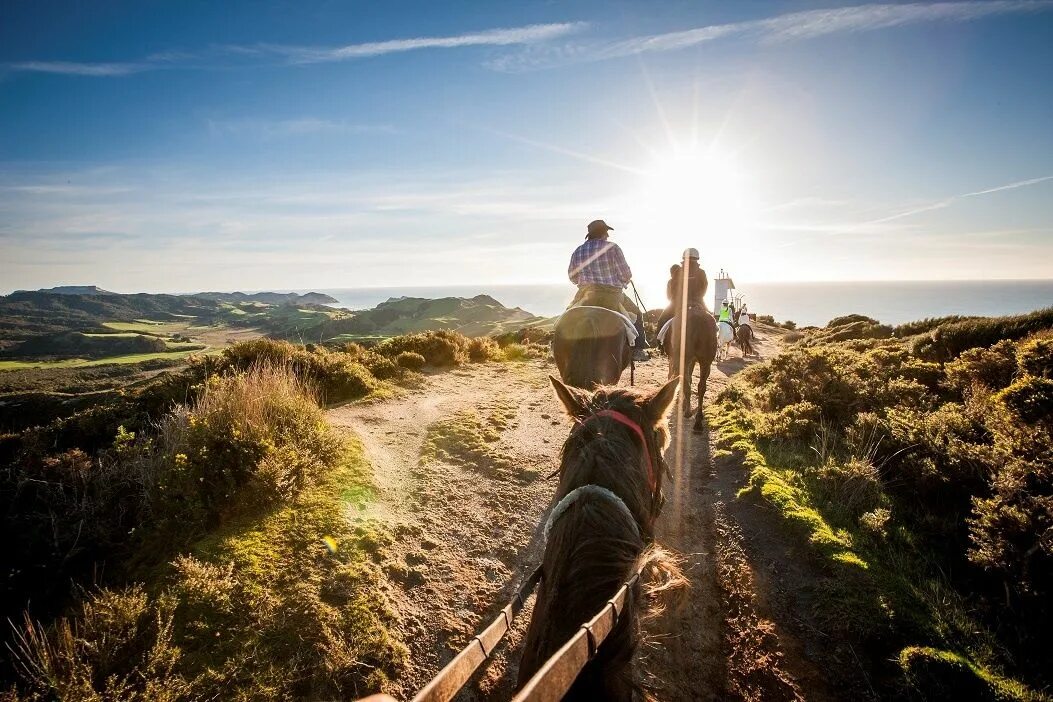 Middle journey. Cape Farewell. It's Wharariki Beach, West of Cape Farewell, New Zealand.. Farewell to the Horse.