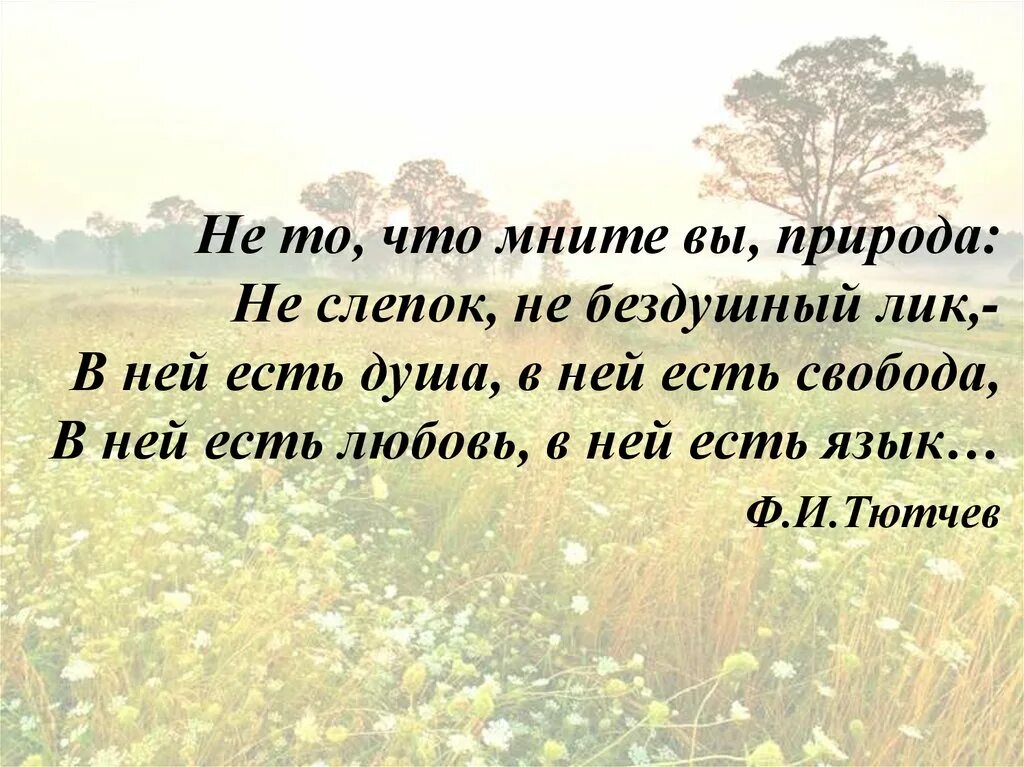 Стихотворение не то что мните тютчев. Высказывания о природе. Цитаты про природу. Красивые цитаты про природу. Афоризмы о природе.