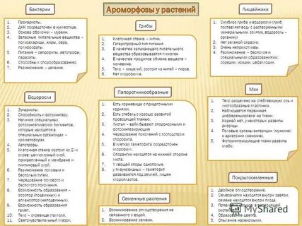 Ароморфозы растений и животных